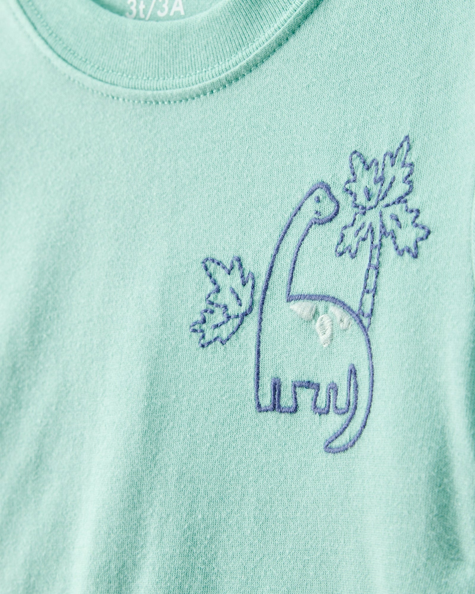 Conjunto de 2 piezas - Dinosaurio